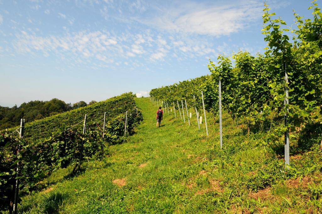 Weingut Winzerzimmer Rothschaedl Leutschach Kültér fotó