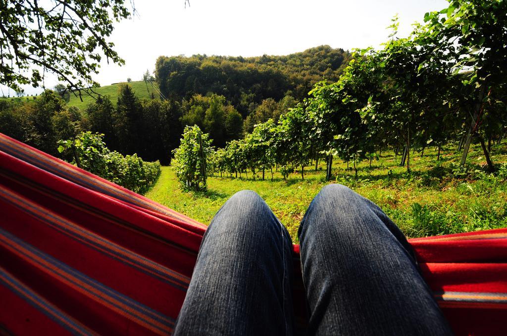 Weingut Winzerzimmer Rothschaedl Leutschach Kültér fotó