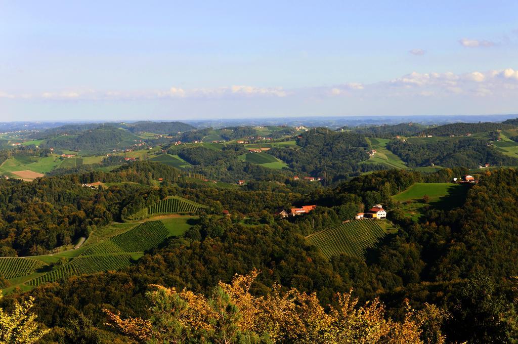 Weingut Winzerzimmer Rothschaedl Leutschach Kültér fotó